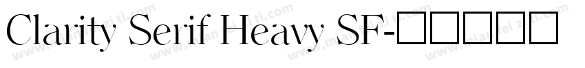 Clarity Serif Heavy SF字体转换